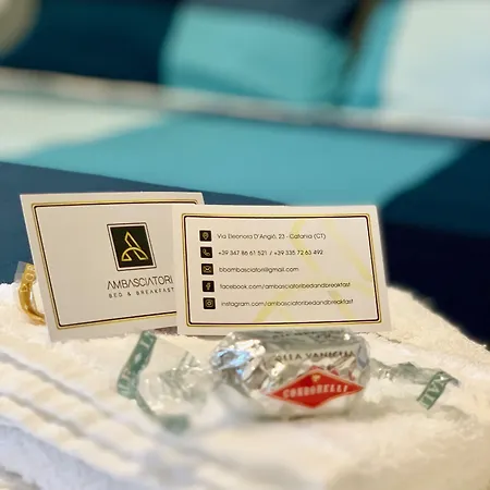 Ambasciatori 4* カターニア