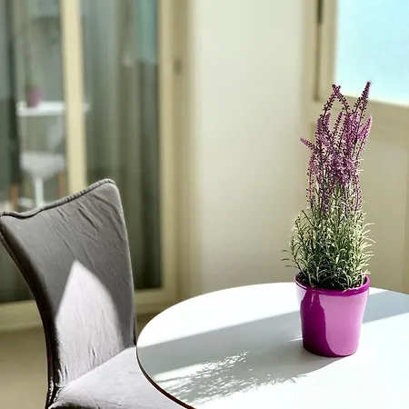 Ambasciatori Panzió